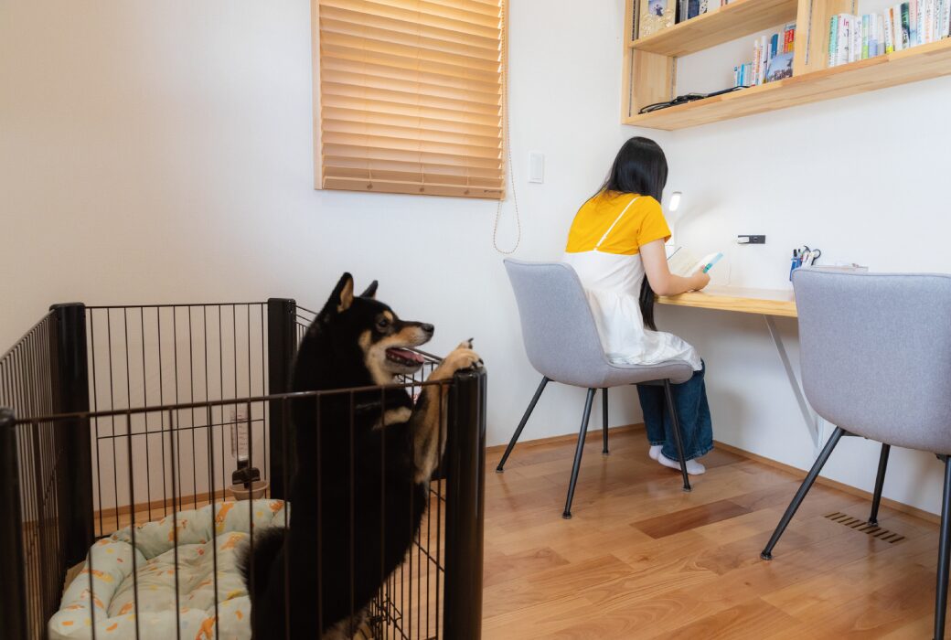 わんちゃんと暮らす回遊の家