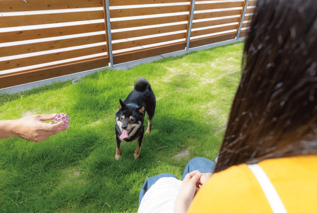 わんちゃんと暮らす回遊の家