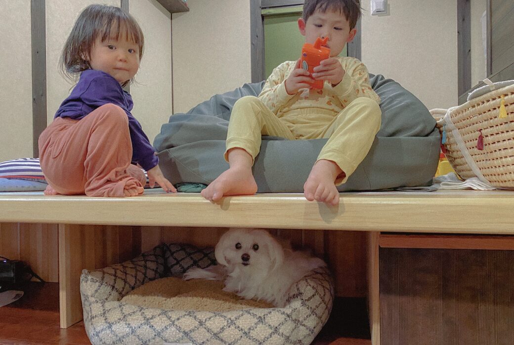 暮らしに寄り添う防蟻対策